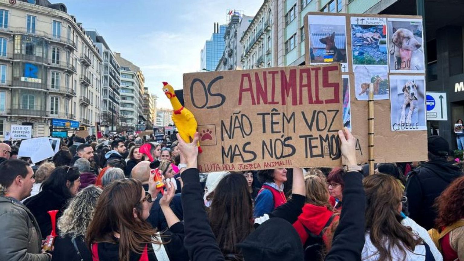 Thousands protest in Lisbon for animal rights amid constitutional dispute