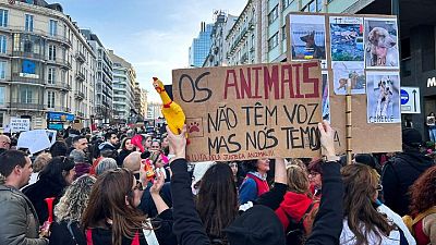 Thousands protest in Lisbon for animal rights amid constitutional dispute