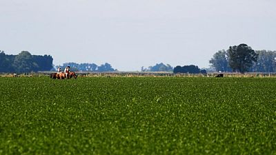 Importaciones soja de la UE en 2022/23 caen a 6,08 millones de toneladas al 22 de enero