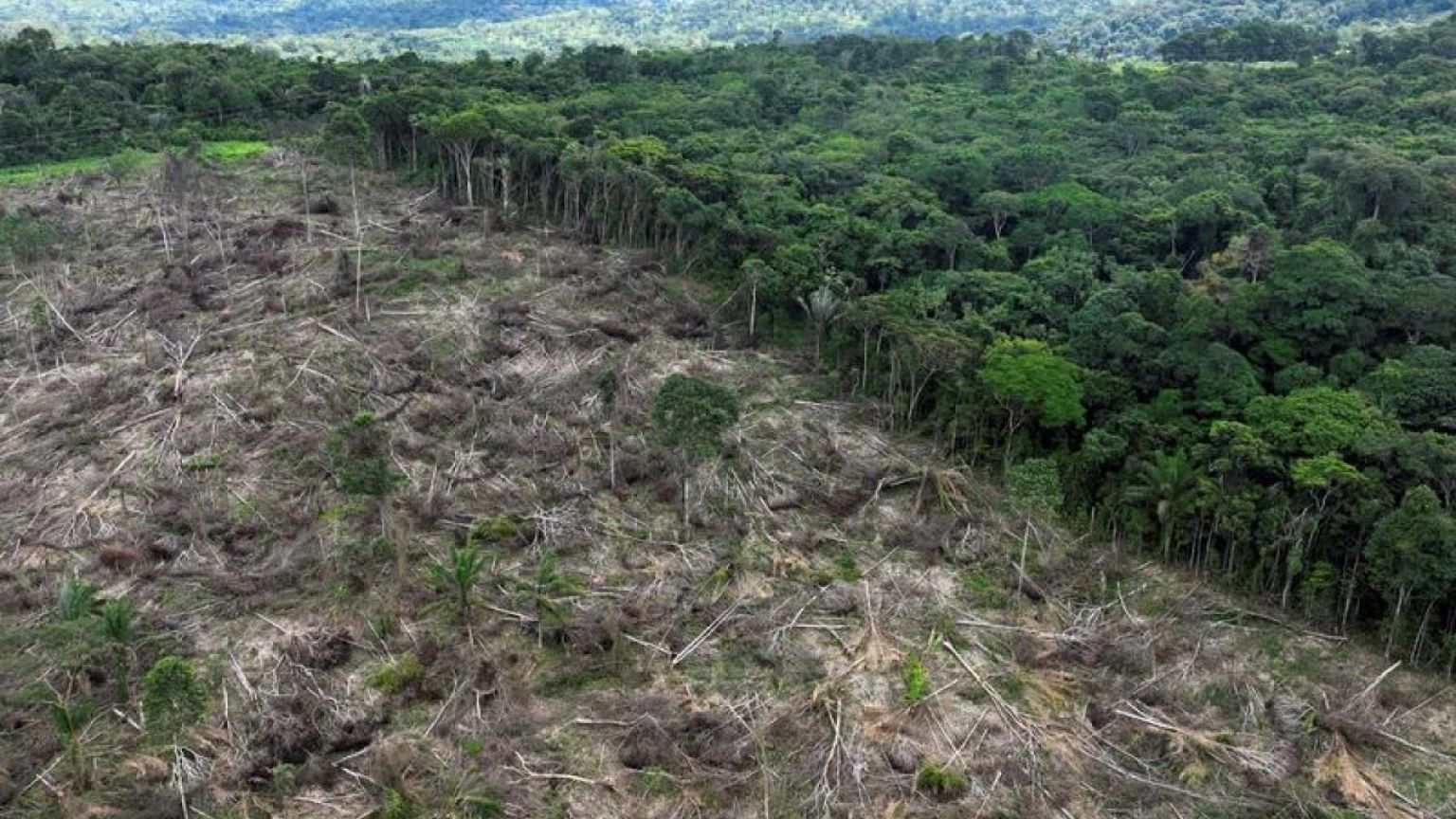 BRASIL-BONOS-AMBIENTE:Brasil busca emitir bonos vinculados al medio ambiente: funcionario