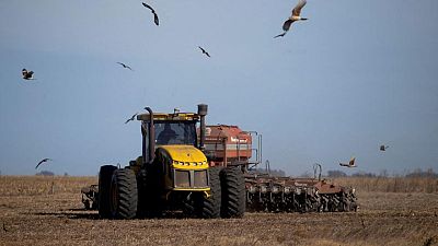 MERCADOS-CHICAGO-GRANOS:Los futuros de la soja y el trigo en EEUU caen, el maíz sube