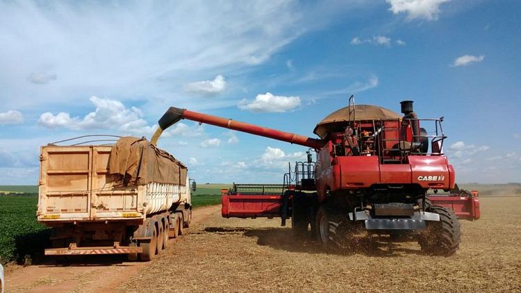 BRASIL-GRANOS:Los agricultores brasileños cosechan el 5% de la superficie plantada de soja, según AgRural