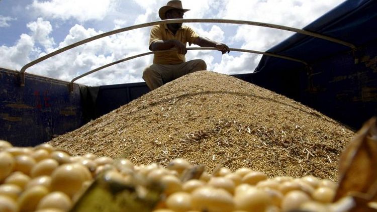 GRANOS-BRASIL-ANEC:Anec reduce las previsiones de exportación de soja, maíz y trigo de Brasil en enero