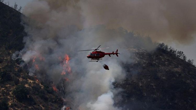 CHILE-INCENDIOS:Incendios por ola de calor arrasan medio millar de hectáreas en zona centro sur de Chile