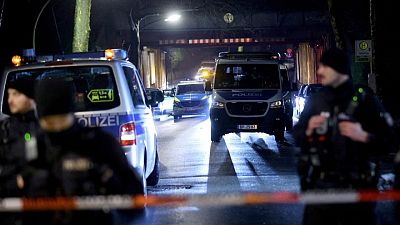 GERMANY-ACCIDENT-TRAIN-YK6:السلطات الألمانية: قطار يصدم طفلين ومقتل أحدهما