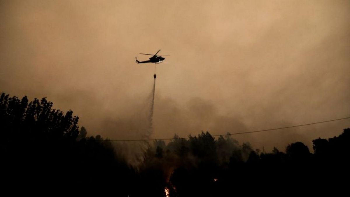 Firefighters battle dozens of wildfires in Chile, death toll at 22