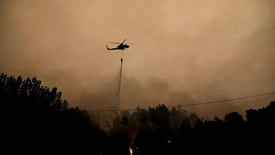 CHILE-FOREST-FIRE-NI1:رجال الإطفاء يكافحون العشرات من حرائق الغابات في تشيلي ومقتل 22