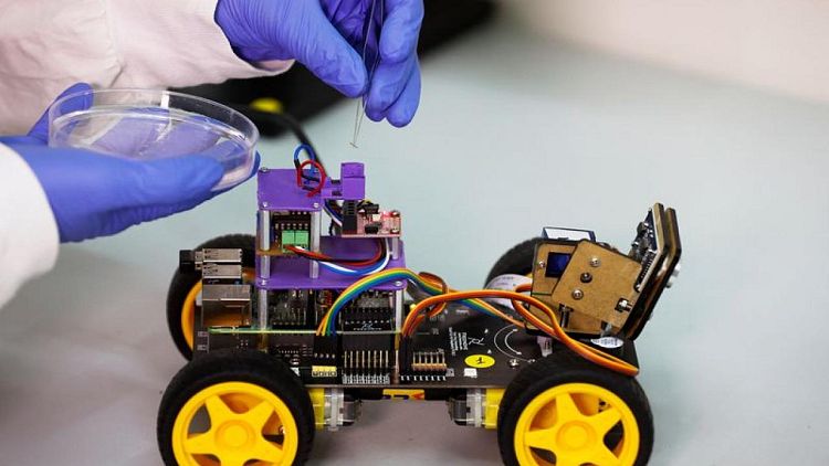 CIENCIA-ISRAEL-ROBOT-RASTREO:Científicos israelíes crean un robot rastreador con antenas de saltamontes