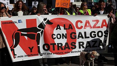 SPAIN-DOGS-LAW:Thousands protest against animal rights bill in Spain for excluding hunting dogs