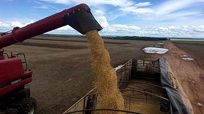BRASIL-GRANOS:Los agricultores de Brasil cosechan el 9% del área sembrada de soja, dice AgRural