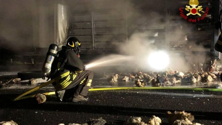 Intervento dei vigili del fuoco di Cesena