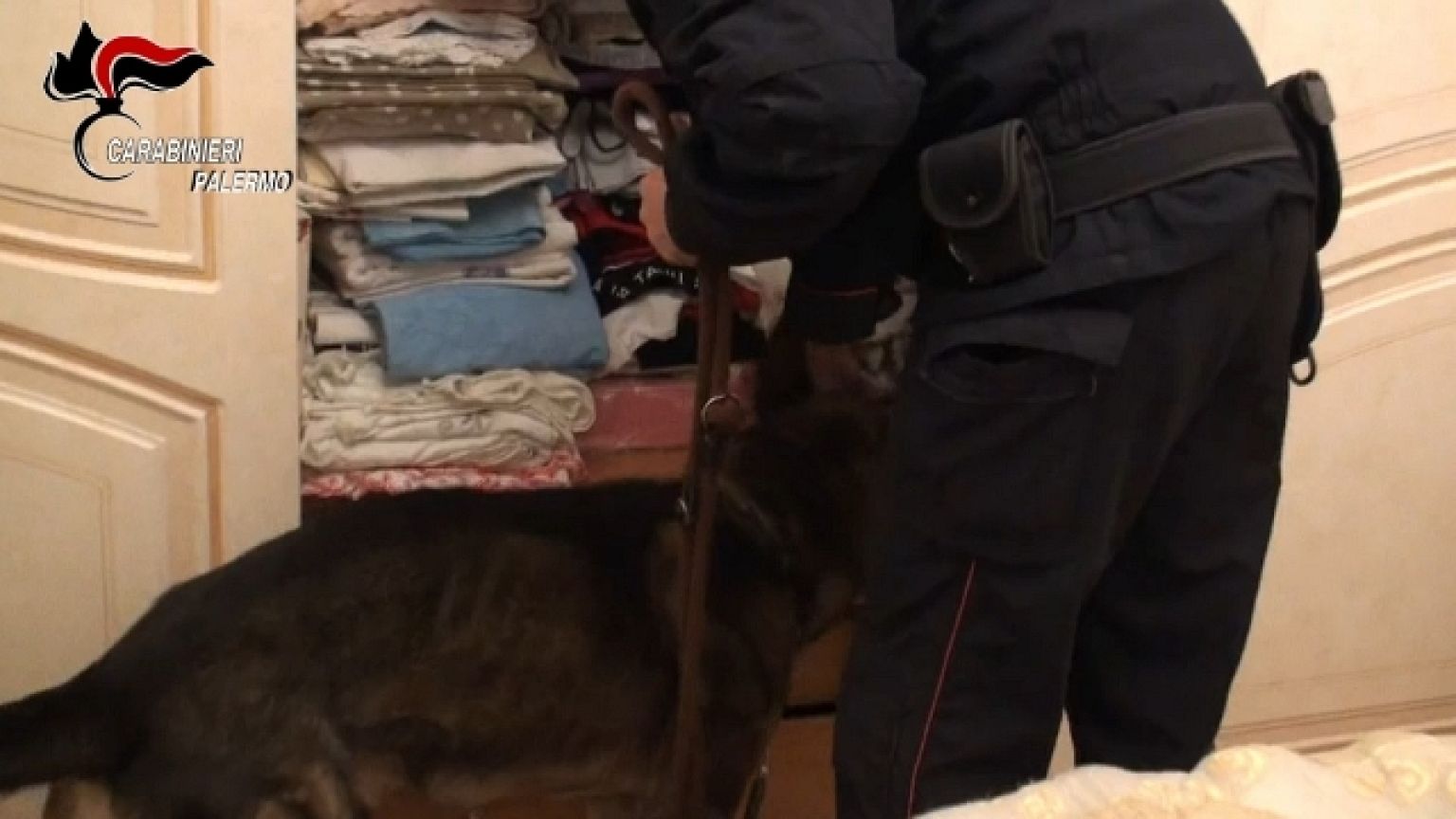 Nove in carcere, otto ai domiciliari