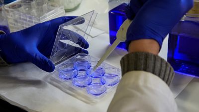 Dieci anni fa la diagnosi di tumore, combattuto da viandante Dieci anni fa la diagnosi di tumore, combattuto da viandante