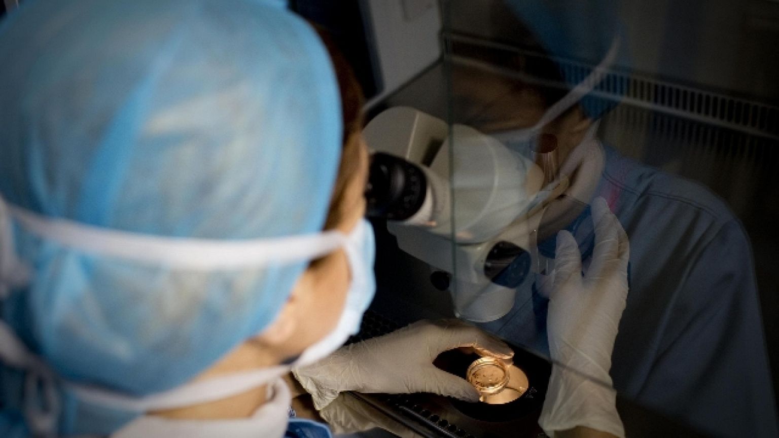 Ricerca guidata da Ateneo Padova, può aprire nuova strada a cura