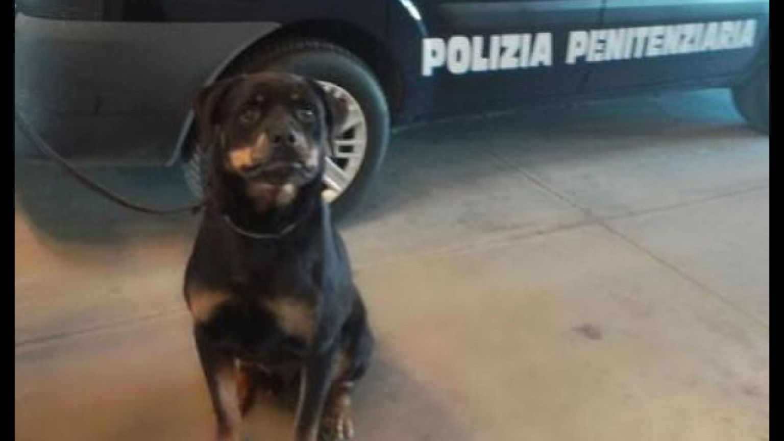 Destinato a detenuto: sequestro della Penitenziaria ad Avellino