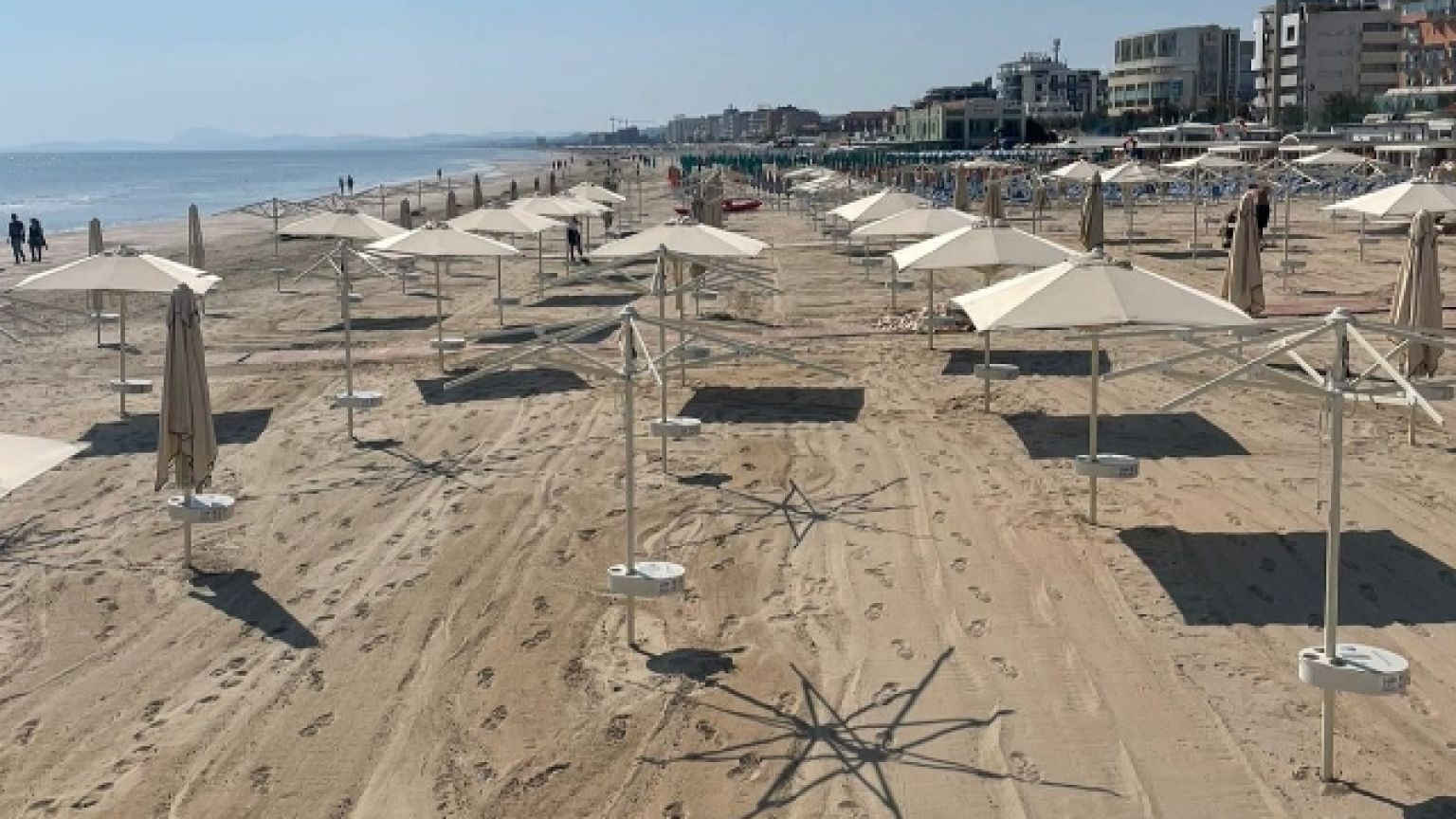 Le piene avevano trascinato tronchi e rami sull'arenile