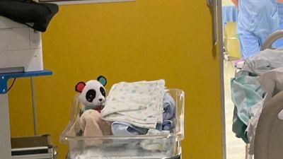 Ad Ancona, bimbo con la madre 30enne nella fase pre-operatoria Ad Ancona, bimbo con la madre 30enne nella fase pre-operatoria