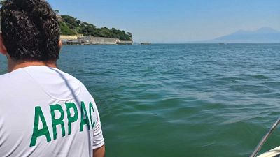 Esami nel Golfo segnalano la presenza anomala di clorofilla Esami nel Golfo segnalano la presenza anomala di clorofilla