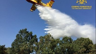 Resta 'alto' il pericolo di incendi sino a giovedì Resta 'alto' il pericolo di incendi sino a giovedì