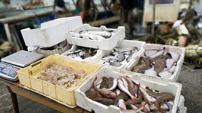 Con divieto pesca a strascico, si rischia addio a pesce italiano