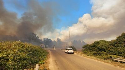 Dopo gli incendi che hanno devastato Ugento