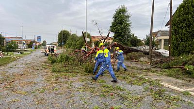 Stava sgomberando gli alberi caduti per il maltempo in Fvg Stava sgomberando gli alberi caduti per il maltempo in Fvg