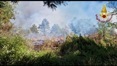 Fiamme nel sottobosco carsico nei pressi del Monte Hermada Fiamme nel sottobosco carsico nei pressi del Monte Hermada