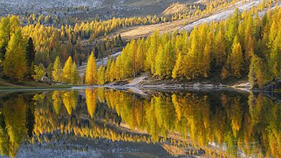 Dieci puntate alla scoperta delle foreste, da nord fino a sud Dieci puntate alla scoperta delle foreste, da nord fino a sud
